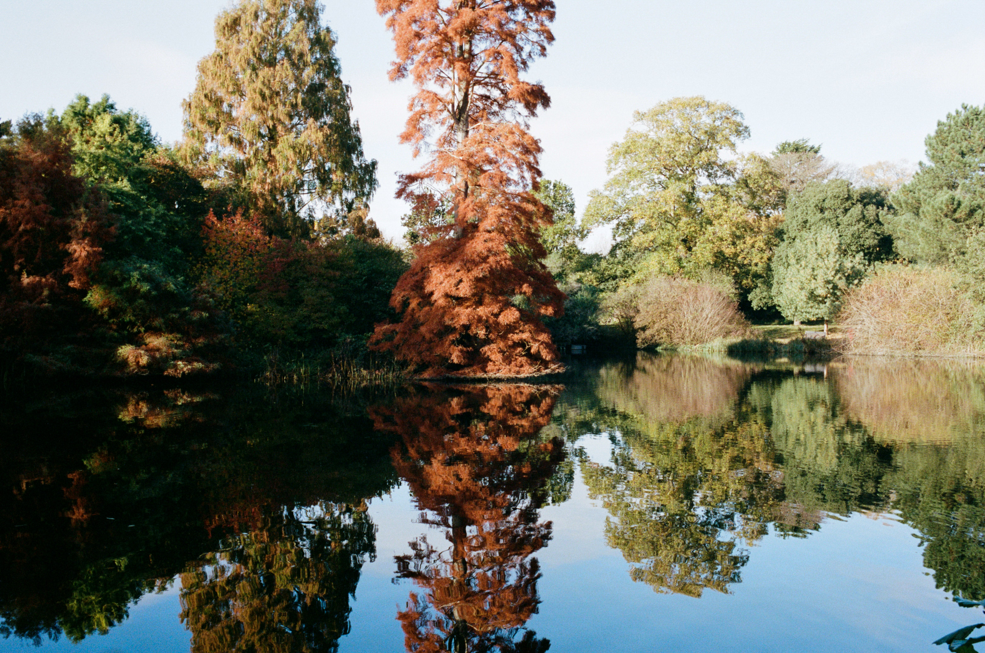 View of the lake at Kew Gardens in autumn.