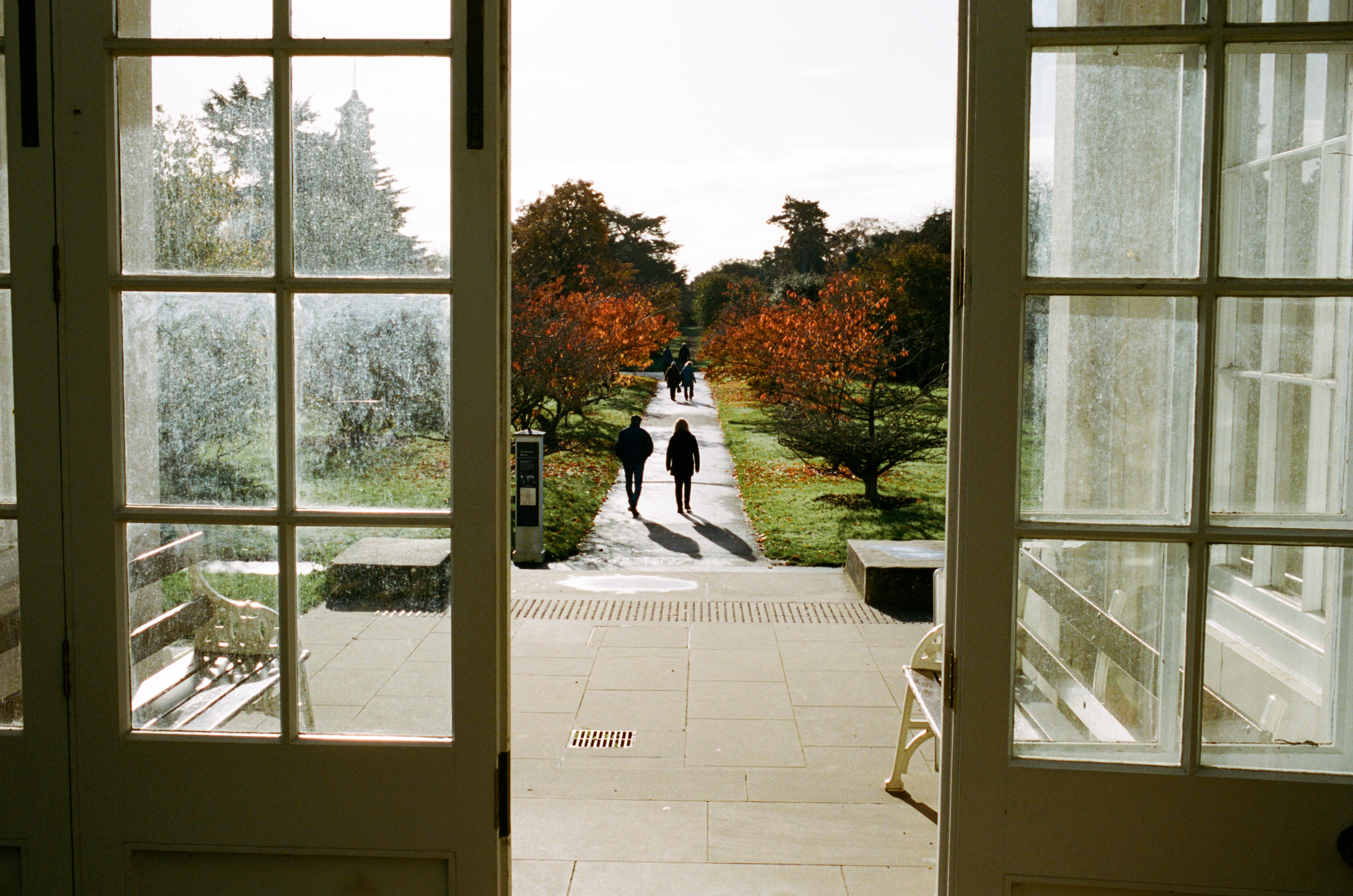 View from the Temperate House glasshouse at Kew Gardens.